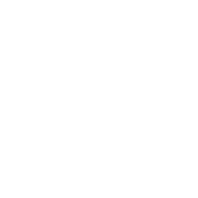 Nikko's Logo